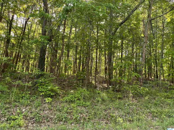 lot 7 County Road 592, Leesburg, AL 35983