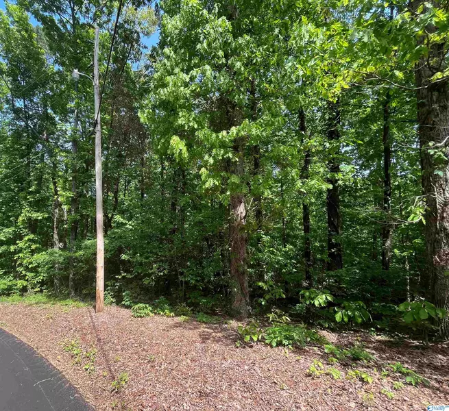 Lot 4 Cedar Lane, Guntersville, AL 35976