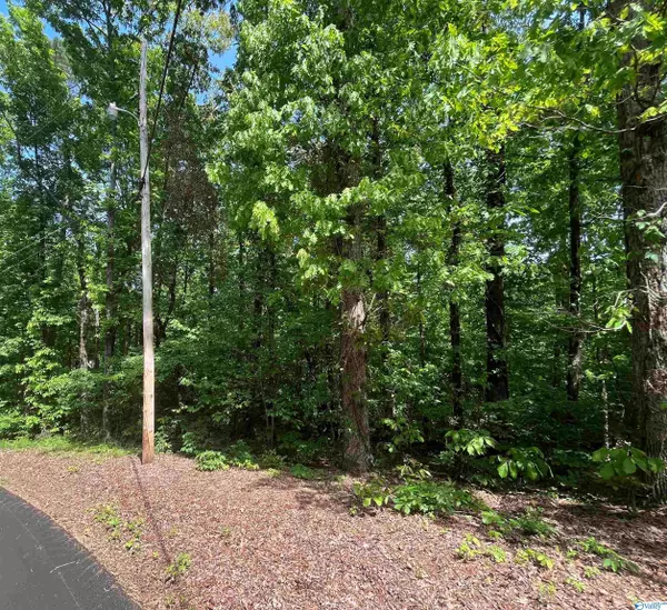 Lot 4 Cedar Lane,  Guntersville,  AL 35976