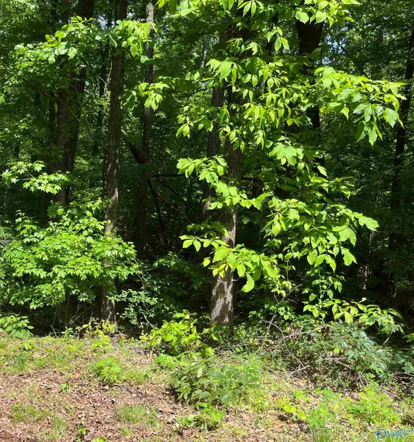 Guntersville, AL 35976,Lot 4 Cedar Lane