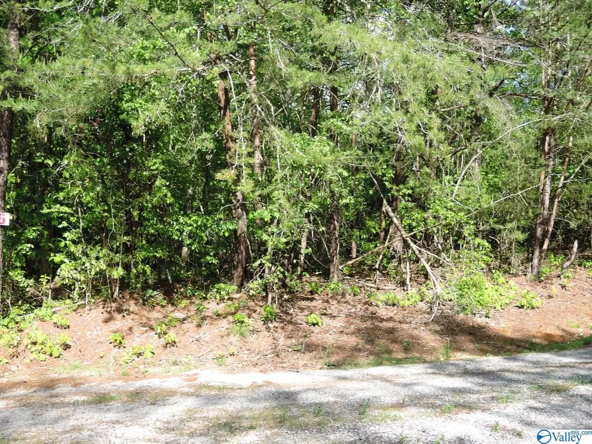 Jasper, AL 35504,66 Timberline Circle