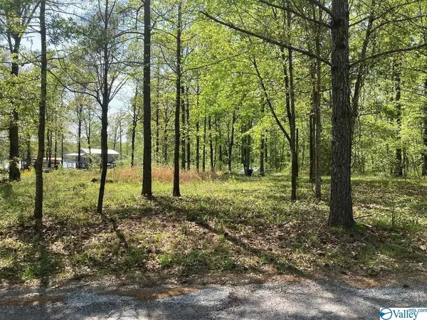 Cedar Bluff, AL 35959,5230 Cove Lane