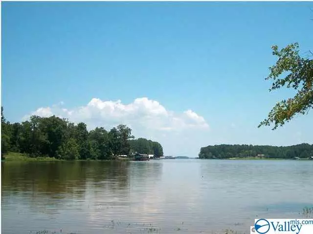 County Road 146, Leesburg, AL 35983