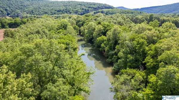 Princeton, AL 35766,178 County Road 142