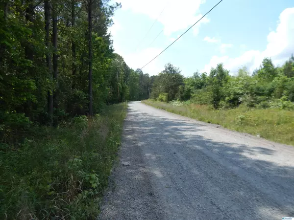 County Road 858, Fort Payne, AL 35967