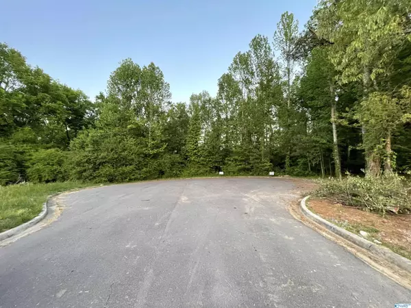 lot 11 & 12 Summertree Way, Arab, AL 35016