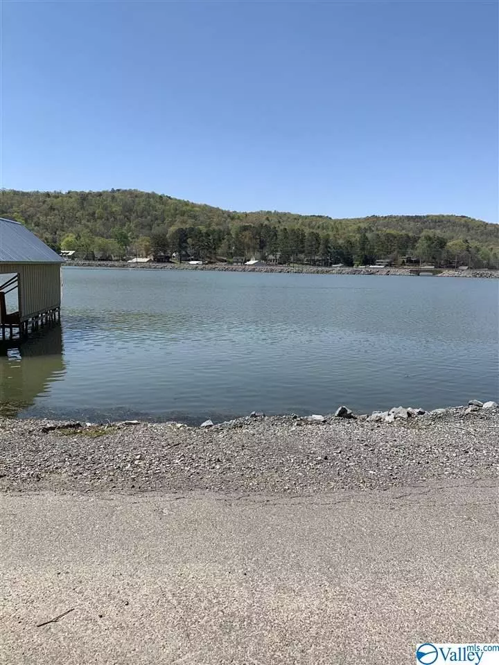 Scottsboro, AL 35769,71 (Lot 6) Pine Island Circle