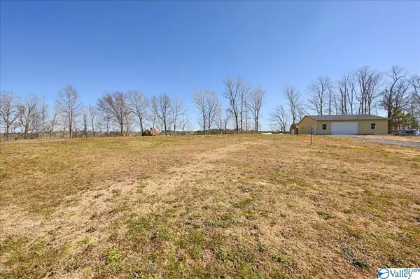 Crane Hill, AL 35053,60-1 County Road 309 #Lot 1