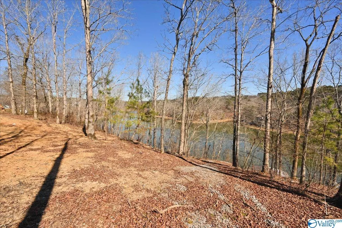 Crane Hill, AL 35053,0 County Road 309