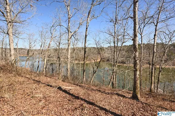 Crane Hill, AL 35053,0 County Road 309