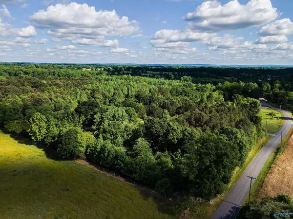 25 Acres Mount Olive Drive, Albertville, AL 35950