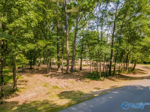 XXX Cherokee Ridge Drive, Cherokee Ridge, AL 35175