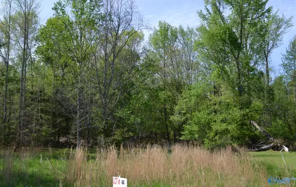 Lot 44 Sonoma Drive #Lot 44, Fayetteville, TN 37334