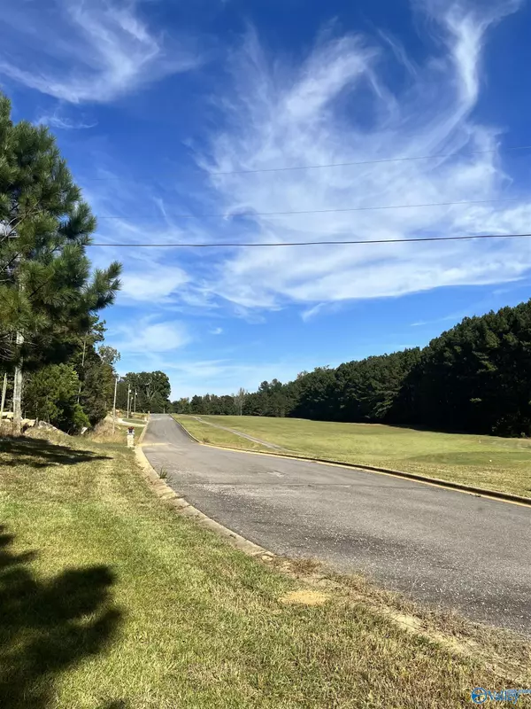 Oneonta, AL 35121,Lot 1 Christy Lane