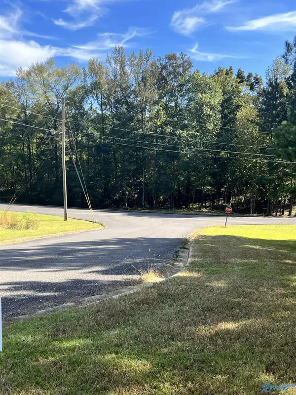 Oneonta, AL 35121,Lot 1 Christy Lane