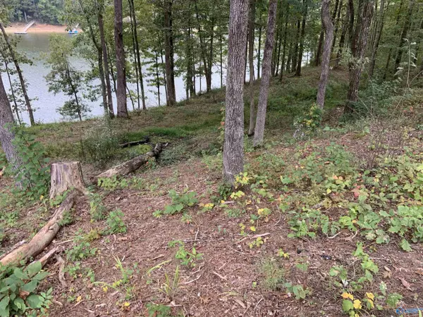 Arley, AL 35541,Lot 2 White Oak Road