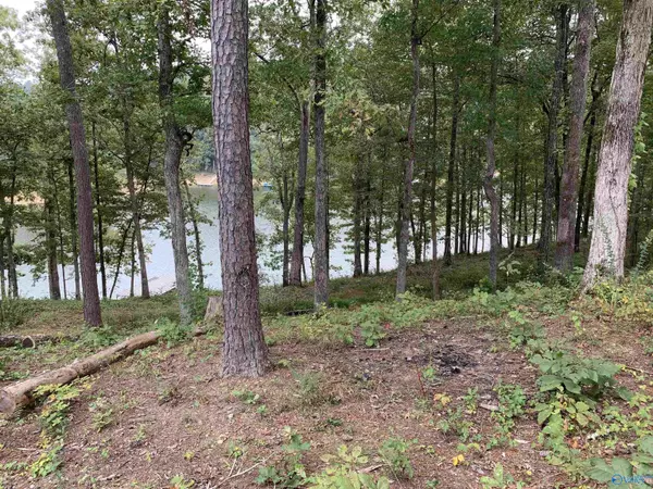 Lot 2 White Oak Road, Arley, AL 35541