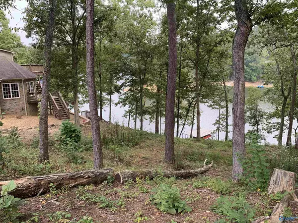 Arley, AL 35541,Lot 2 White Oak Road