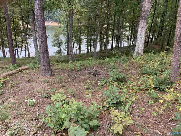 Arley, AL 35541,Lot 2 White Oak Road