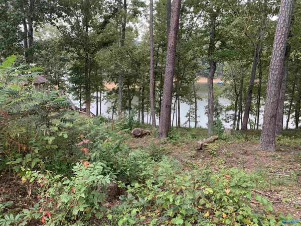 Arley, AL 35541,Lot 2 White Oak Road