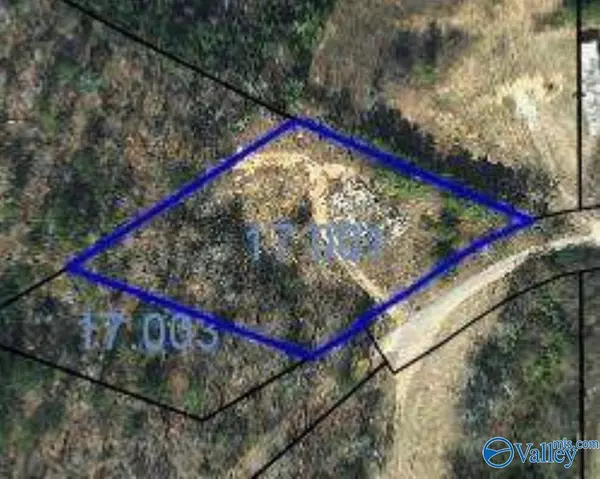 Heflin, AL 36264,690 Tumlin Mill Road #2+3