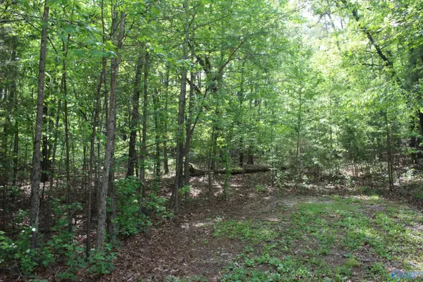 Hammondville, AL 35989,3.08 Acres Red Oak Drive