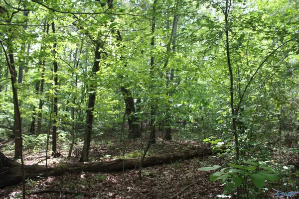 Hammondville, AL 35989,3.08 Acres Red Oak Drive