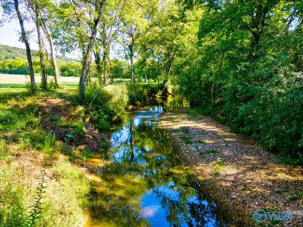 New Market, AL 35761,1985 Hurricane Road