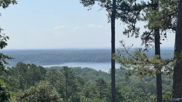 Cedar Bluff, AL 35959,Lot 215 County Road 767
