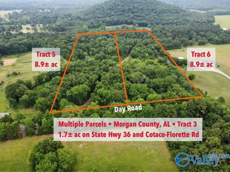 Tract 6 Day Road, Somerville, AL 35670