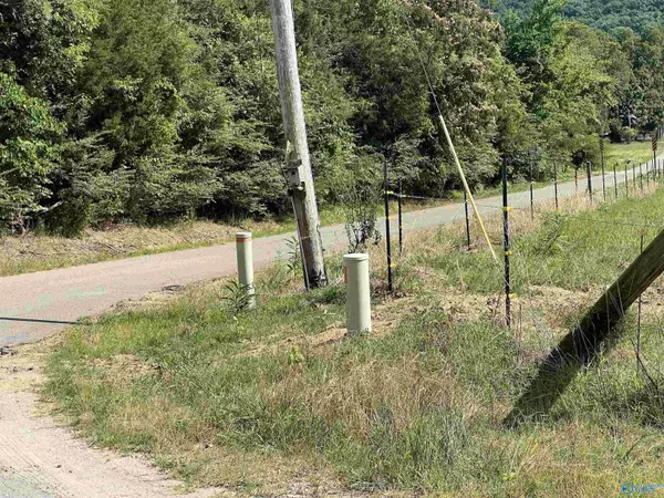 New Market, AL 35761,599 Sharps Hollow Road