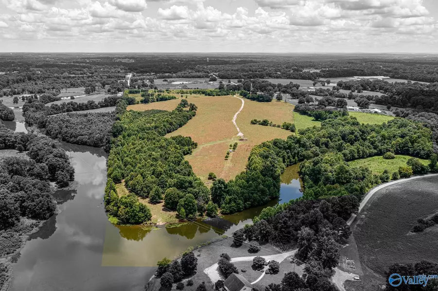 1941 County Road 1589, Baileyton, AL 35019