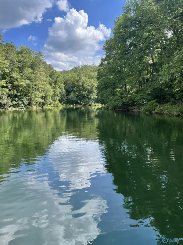 Lot 26 Sipsey Overlook, Double Springs, AL 35553