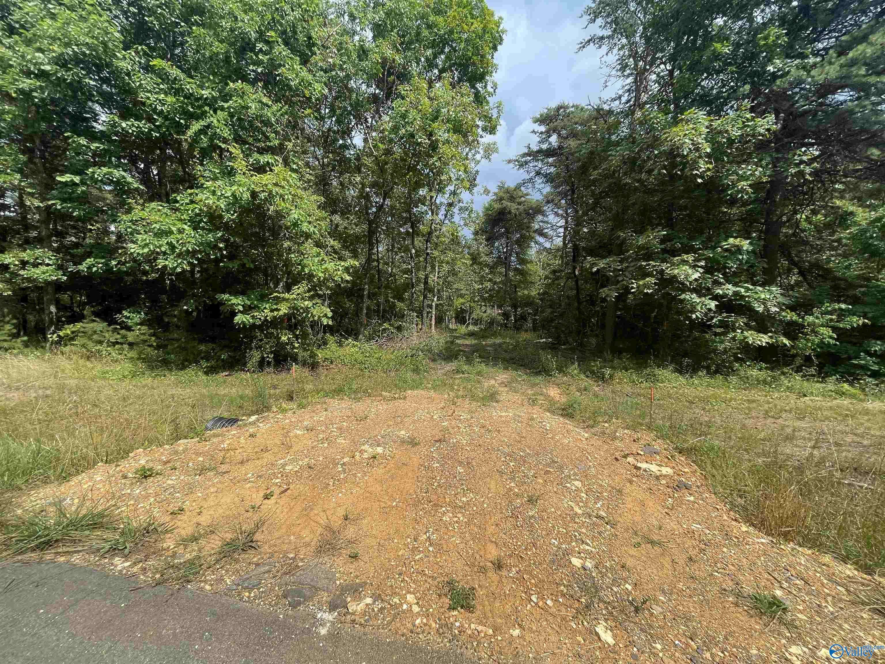 0 Citadel Rock Road, Fort Payne, AL 35967