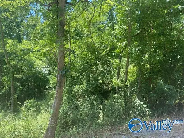 Scottsboro, AL 35769,Lot 39 Clemons Road