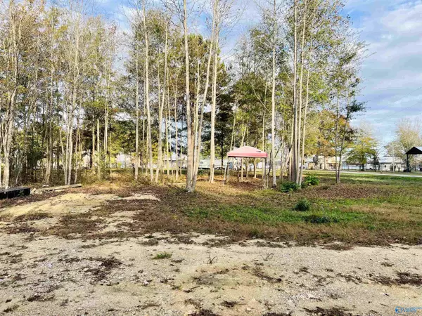 Centre, AL 35960,1143 County Road 1011 #lot #152