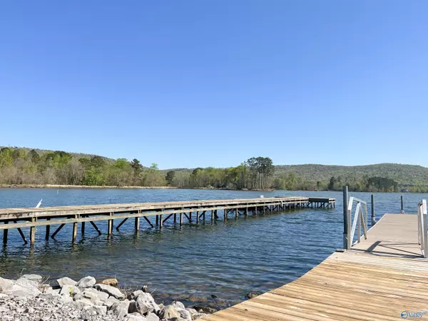 Langston, AL 35755,10174 County Road 67 #LOT 74