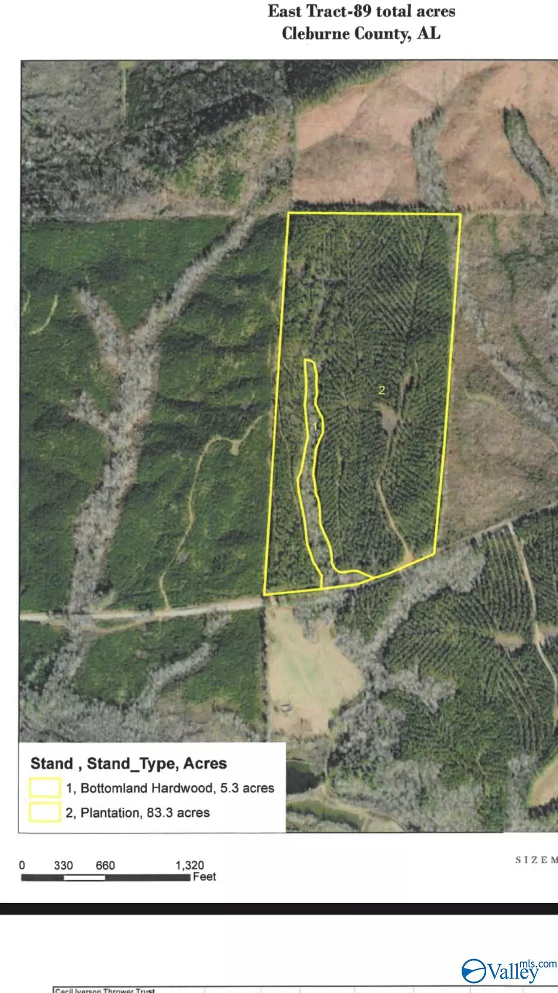 Heflin, AL 36264,89 County Road 42