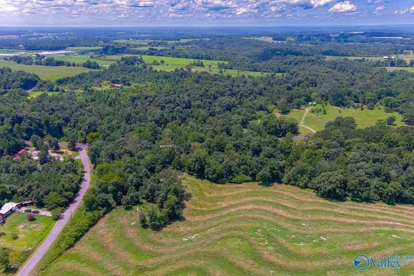 Grove Oak, AL 35975,1.7 acres County Road 357