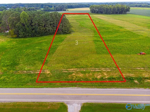 Tract 3 Alabama Highway 99, Anderson, AL 35610