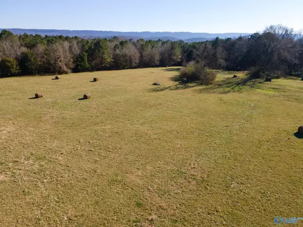 Scottsboro, AL 35769,41 acres Phillips Drive