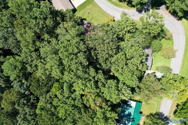 Arab, AL 35160,636 NW Meadowwood Circle