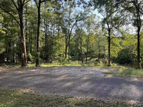 Lots 122 & 123 River Drive, Hollywood, AL 35752