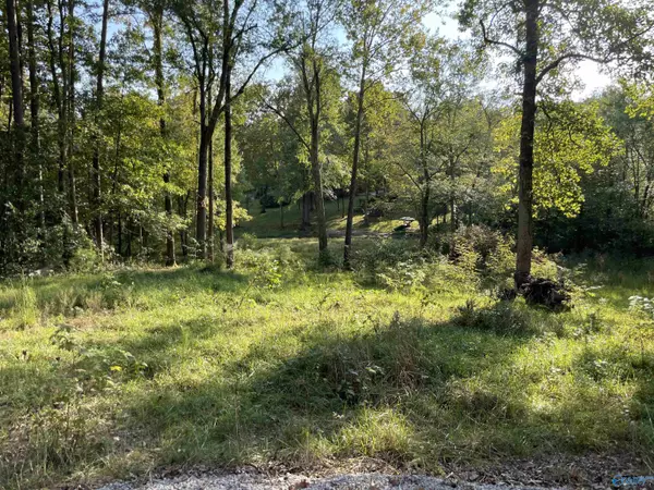 Hollywood, AL 35752,Lots 122 & 123 River Drive