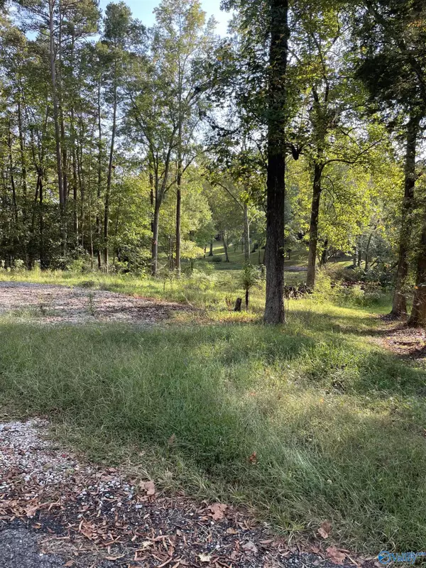 Hollywood, AL 35752,Lots 122 & 123 River Drive