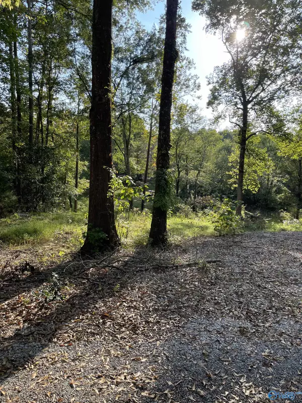 Hollywood, AL 35752,Lots 122 & 123 River Drive