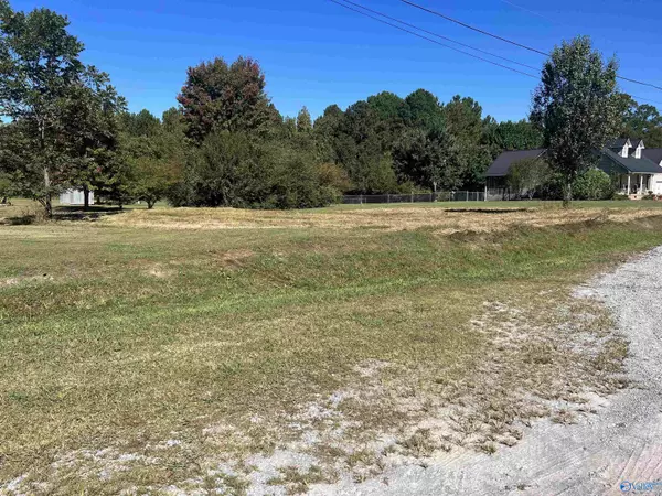 Hokes Bluff, AL 35905,0.40 Lot Faye Street