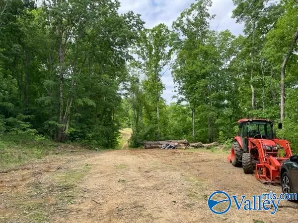 Gurley, AL 35748,646 Keel Mountain Road