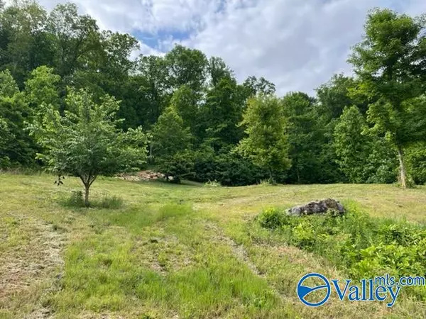 Gurley, AL 35748,646 Keel Mountain Road