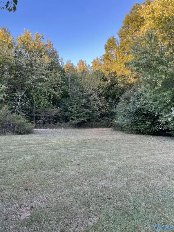 3245 Elkwood Section Road, Hazel Green, AL 35879